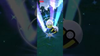 #ポケモンGO マーイーカ　色違い