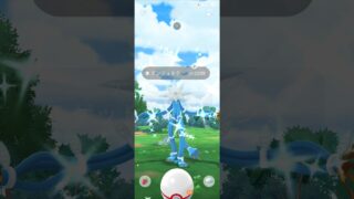 色違い　デンジュモク　ポケモンGO