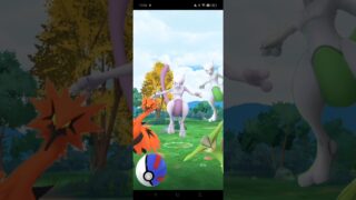 ポケモン３０周年イベントで伝説との出逢い！ ミュウツーとガラルサンダーとビリジオン▼【ポケモンGO】