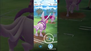 ポケモンGOバトルリーグ　マスターリーグ 1666