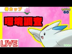 【春カップ】環境調査！超安定するパーティーはこれだ【バトルリーグ】【ポケモンGO】