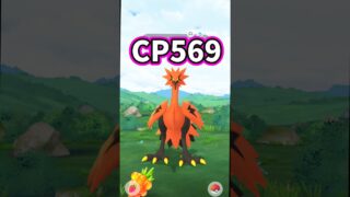 ガラルサンダーさん対戦よろしくお願いします。【ポケモンGO】【ガラル三鳥】