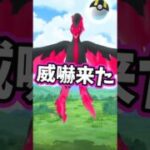 ガラルファイヤーさん対戦よろしくお願いします。【ポケモンGO】【ガラル三鳥】