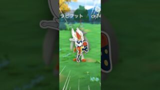 ダイスープ、実装してくれー！【ポケモンGO】