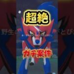 【絶望】⚠️無知は大損⚠️ガチ案件です。最強格の激アツ復刻！マックスバトル、レイドで大活躍のザマゼンタレイドの復刻！初心者は絶対やりましょう！【ポケモンGO】　#ポケモンGO #島名なまし
