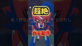 【絶望】⚠️無知は大損⚠️ガチ案件です。最強格の激アツ復刻！マックスバトル、レイドで大活躍のザマゼンタレイドの復刻！初心者は絶対やりましょう！【ポケモンGO】　#ポケモンGO #島名なまし