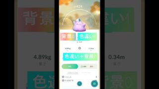 ポケGOぽこあポケモンコラボで色違い背景メタモン狙った結果 #ポケモン #ポケモンgo #ぽこあポケモン #メタモン #shortvideo#shorts #short #pokémon #ポケgo