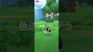 ポケモンGO 色違いプテラ出現！ #ポケモン #pokémon #ポケモンgo