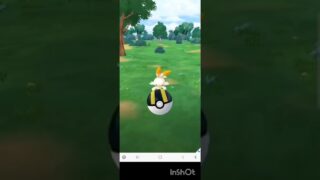 ポケモンGO 新登場 ヒバニー色ちがい背景ゲットか コミュニティデイ 無課金 背景  イベント エースバーン #pokemon #ポケモン  #pokemongo #ポケgo #ポケットモンスター