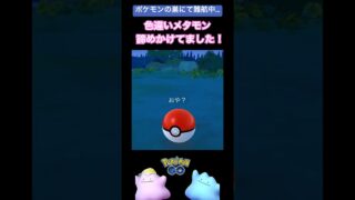 【色違いメタモン】諦めた瞬間に色違いメタモン出たんやが…✨#ポケモンGO #shorts