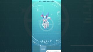 【ポケモンGO】色違いニンフィアゲッチャレ #ポケモン #色違い #ニンフィア #sylveon #pokemongo #pikachu #님피아 #ポケモンgo