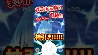 【ポケモンGO/心壊ヤミ】ガラル三鳥?!奇跡?!まさかの…神引き!!!!! #心壊ヤミ #sinkaiyami #ポケモンgo