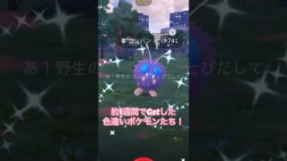 【ポケモンGO】約1週間でGetした色違いポケモンたち！    #ポケモン #ポケモンgo #pokemongo