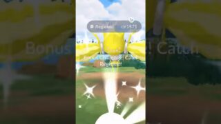 ✨I Got BACK TO BACK SHINY LEGENDARY POKEMON In Pokemon Go!!!✨ #shorts #pokemon
