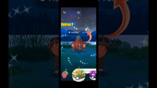 INSANE Wild SHINY HEATMOR Catch! 🔥✨ | Pokémon GO
