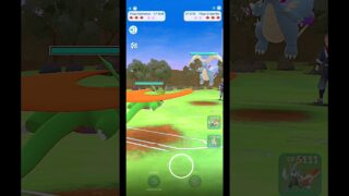 ✨️Mega Dragonite VS✨️Mega Salamence PVP Battle in Pokemon Go