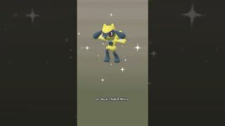 NÃO PERCA! Riolu Brilhante VOLTOU no Pokémon GO (chance aumentada!) ✨🥚 #pokemongo