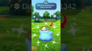 NOW🤯 This will become most RAREST SHINY DITTO in pokemon go😅 #shorts