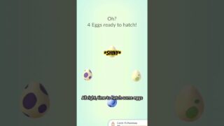 New shiny hatched! #pokemongo #pokemon