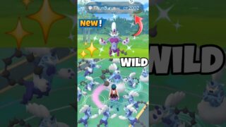 OMG😲Wild✨️Shiny Thundurus Spawn in Pokemon Go
