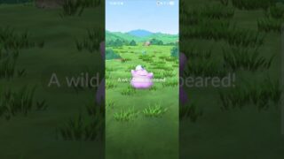Pokémon GO – Catching a Ditto Wearing a Cap