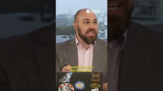 Pokémon Go no era solo un juego: así recolectaron datos de millones de personas