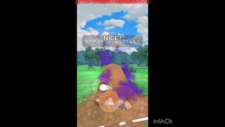 Sイノムー使ってみた‼️