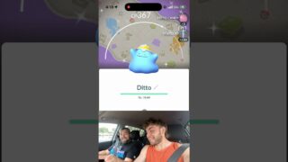 ✨Shiny BACKGROUND Costume Ditto CAUGHT in Pokemon Go!✨ #shorts #pokemon