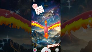Shundo Moltres!! Did I Just Catch This in Pokémon GO?! 🔥✨ #pokemon #pokemongo #shortsfeed #moltres