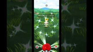 Shundo Scorbunny on Community Day 😱 | Pokemon Go |