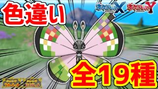 【ポケモンXY】色違いビビヨンは世界に19種！！【ポケモンSV】
