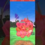 ムクホが鬼強い！#ポケモンgoバトルリーグ