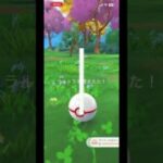 光ったーーーー！ #ポケモンgo