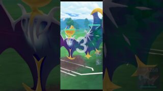 선봉 제크로무 상대 법을 알아보자! #포켓몬고 #ポケモンgo #ポケモンgo #고배틀리그 #고배리 #goバトルリーグ #gobattleleague #gbl #마스터리그 #マスターリーグ