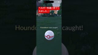 ヘルガー色違い#ポケモンgo #ポケモン #ポケモンgo色違い #pokemongo #pokemon #pokémongoshiny