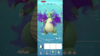 ポケモンgo シャドウ色違いミニリュウ  進化 #シャドウ色違いミニリュウ # シャドウ色違いハクリュー #シャドウ色違いカイリュー #ポケモンgo #pokemongo