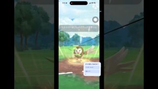 【春カップ】初心者さんにもおすすめ‼️フクスローが春カップで大活躍🌸 #goバトルリーグ #ポケモンgo #shorts