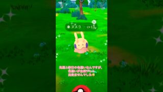 先週と昨日までの色違い！  #ポケモン #ポケモンgo #pokemongo #shorts