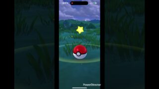 何気に珍しいメタモンゲット画面 #pokemongo #pokemon #ポケgo #ポケモン #ポケモンgo