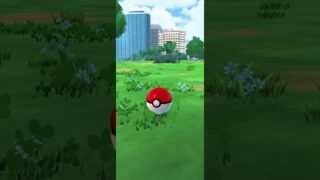 色違いヒバニー出た！可愛い！ #shortvideo #ポケモンgo #ポケモン