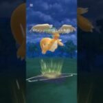 笑顔が逆に怖いメガカイリュー