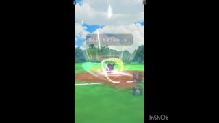 モルペコ‼️‼️‼️