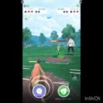 春カップに潜ってみた🤔