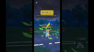 ハイパーヌマクロー使ってみたけど…