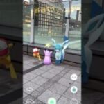 ビヨ〜ン！メタモンのお出かけ