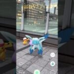 ピカチュウ、グレイシア&メタモンとお出かけ