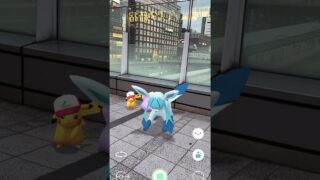 ピカチュウ、グレイシア&メタモンとお出かけ