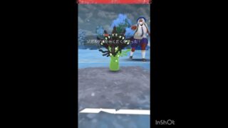 ジガルデ！(◎_◎;)