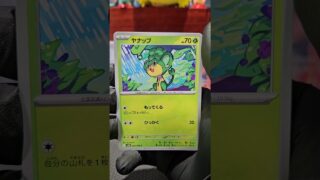 ブラックボルトを開封するよ。2026 04 27 #ポケモンカード #ポケカ #ポケモン #pokemon #ポケカ開封 #ポケカ再販最新情報