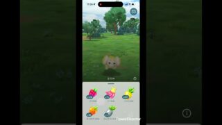 ようやく56レベや！ #ポケモンgo #shorts #レベル上げ #無課金